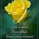 dhinesh
