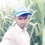 mohidul islam