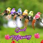 Sapna123