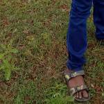 subashni