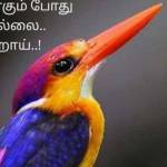 ம் hjvjgfyfyudidg