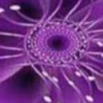 Abirami