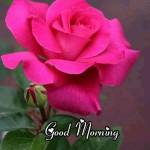 D.RAMESH