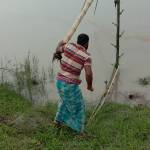 Hanifa
