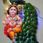 vishva