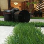 Adul M