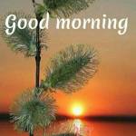 ASHWIN PRAKASH