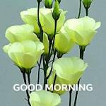 MD MERAJ KHAN