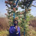 jayasree