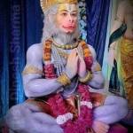 Vinod N Krishnagoudar