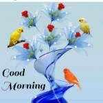 Jagadesh N