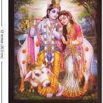 Shailendra rahangdale