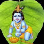 SIVA M