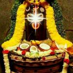 mithilesh