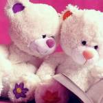 ராபர்ட்