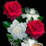 shakila
