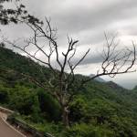 Jayram