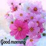 sureshkumar