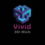 Vivid 3d hub
