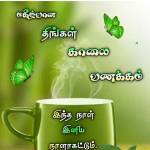 saleem