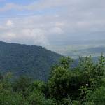 prathap