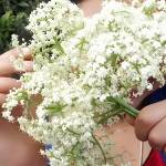 JOTHIKA M