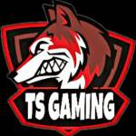 TS GAMING