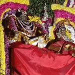 mohan
