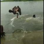 jiva