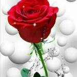 dharshini