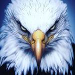 EagleQueen