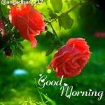 vinitha