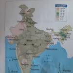 raunak