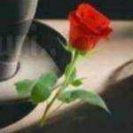 shreya