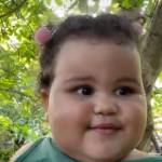 bibhash