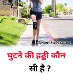 raju